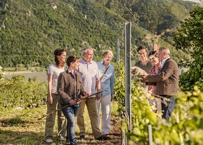 Gasthuis Gaestehaus Turm Wachau 3*